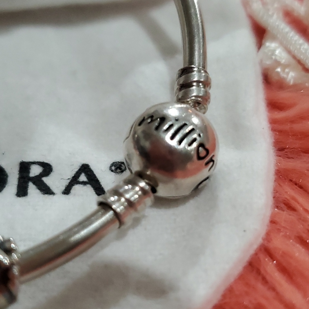 Authentic Pandora Bangle & Charm - image 8